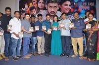 Manasainodu Movie Audio Launch
